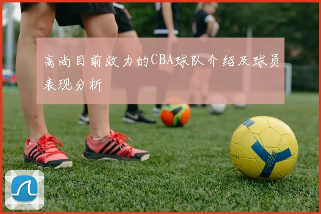 高尚目前效力的CBA球队介绍及球员表现分析
